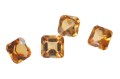 kam F cytryn asscher 6