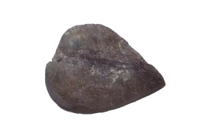 Labradoryt 29,5x23,8 7,7g. 28