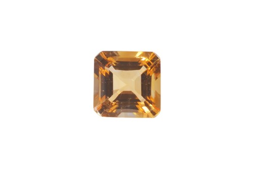 kam F cytryn asscher 6