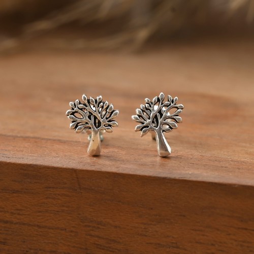 Kolczyki srebrne K368