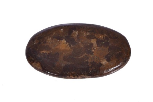 Bronzyt 37x22,1 7,3g. 26