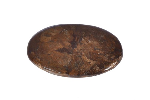 Bronzyt 31,4x20,1 4,6g. 26