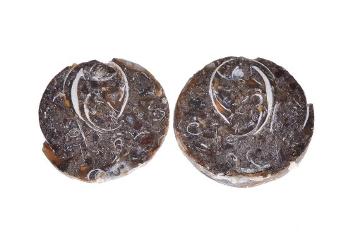 Amonit 24x23,2 8,8g. 21