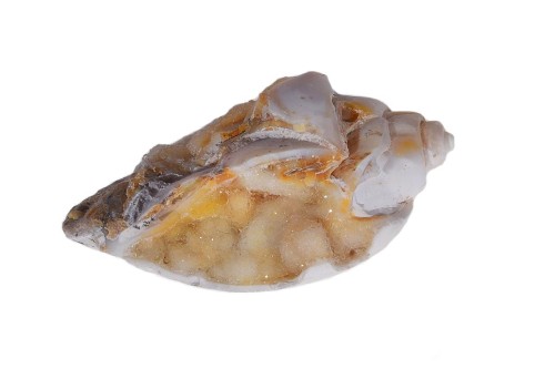 Amonit 42,8x24,4 14,2g. 27