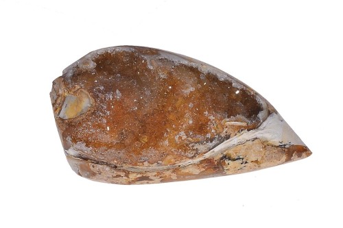 Amonit 33x16,3 7,6g. 27