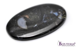 Czarna skamielina owal 67x41mm 31,2g 72.