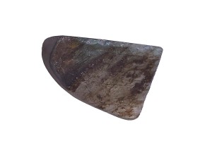 Labradoryt 18x11,9 1,8g. 28