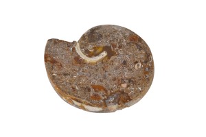 Amonit 30x27mm 5,1g. 31.