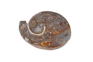 Amonit 28x23mm 4,8g. 31.