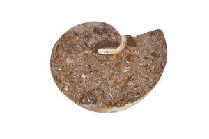 Amonit 30x26mm 5,7g. 31.