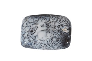 Agat Dendrytowy 24x18mm 4,8g. 31.