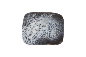 Agat Dendrytowy 21x19mm 2,8g. 31.