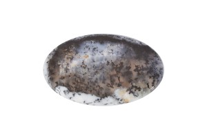 Agat Dendrytowy 42x28mm 9,8g. 34.
