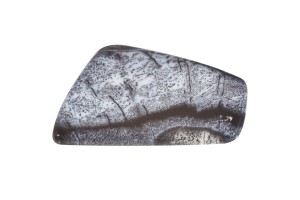 Agat Dendrytowy 43x30mm 12,2g. 34.