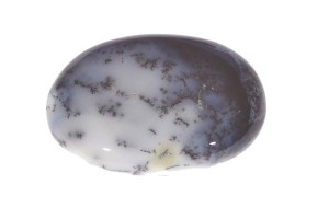 Agat Dendrytowy 40,6x28,9 17,5g 8.