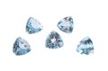 kam F topaz nieb. sky trilion 6
