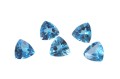 kam F topaz nieb. swiss trilion 6