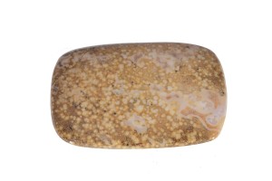 Agat koralowy 44x29,9 11,9g. 23