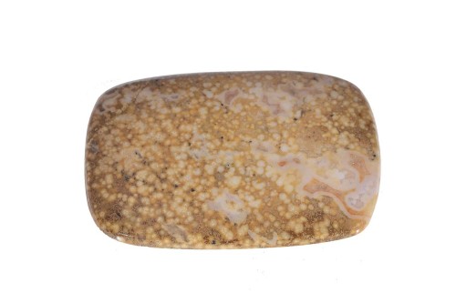 Agat koralowy 44x29,9 11,9g. 23