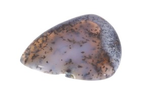 Agat Dendrytowy 42,9x32 13,6g 8.