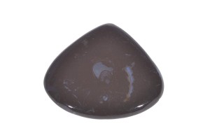 Czarna Skamielina 48,5x45,1 21,3g 15.