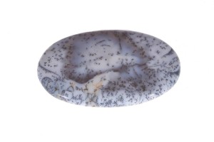 Agat Dendrytowy 51,6x31,5 15,5g 9.