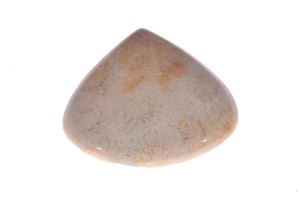 Jeżowiec 40,2x36,8 13,8g 6.