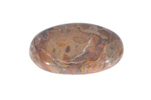 Jaspis Krajobrazowy 33x19,8 6,4g 3.