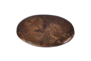 Bronzyt 31,4x20,1 4,6g. 26
