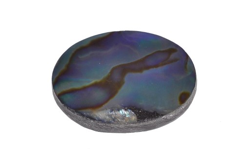 Muszla abalon 28x20,6 6g. 23