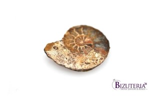 Amonit nieregularny 33x28mm 6,6g 121.