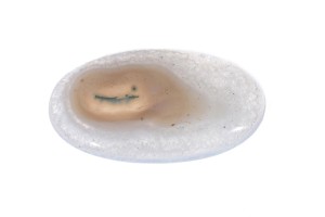 Agat Mszysty Słoneczny 42,5x24,8 10,9g 3.