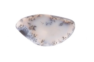 Agat Dendrytowy 47,9x39,7 16,4g 8.