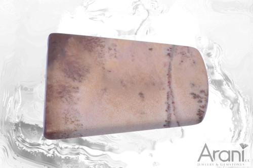 Agat Dendrytowy Beżowy 54,5x40,8 22,2g. 20