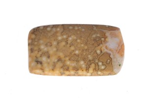 Agat koralowy 21,9x12,8 1,7g. 23