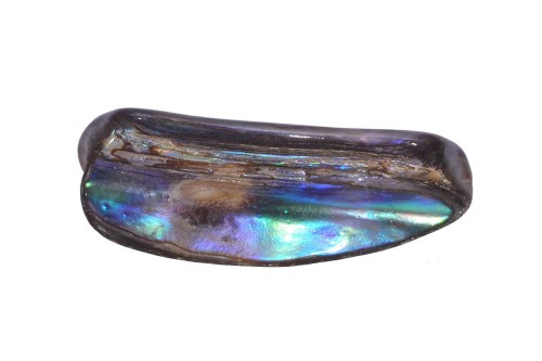 Muszla abalon 37,2x13,8 4,9g. 23