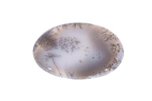 Agat Dendrytowy 42,3x30,2 13,1g 5.