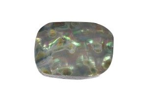 Muszla abalon 29,8x23,3 9,8g. 23