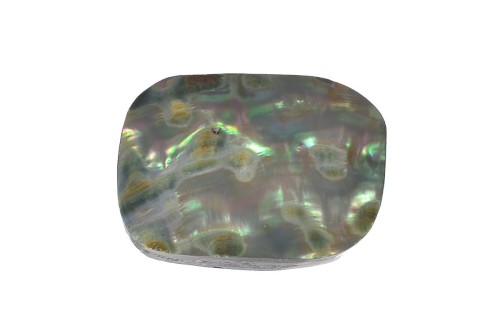 Muszla abalon 29,8x23,3 9,8g. 23