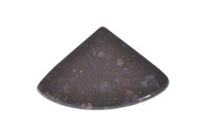 Czarna Skamielina 52,2x38 9,8g 15.