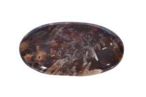Jaspis 60x35,1 30,3g. 26