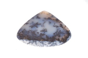 Agat Dendrytowy 49,9x39,2 17,8g 9.