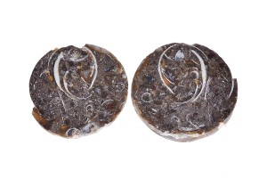 Amonit 24x23,2 8,8g. 21