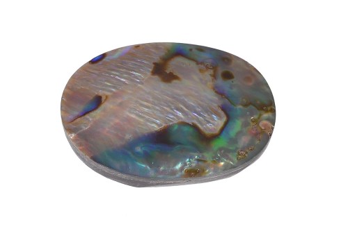 Muszla abalon 31,8x23 7,6g. 23