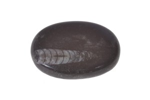Rodochrozyt 43,2x31,1 20,6g 18.