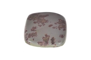 Jaspis Kwiatowy 33x30,4 13g 16.