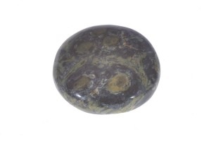 Jaspis 27,4x24,8 8,8g 5.