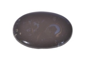 Czarna Skamielina 57,4x41 26,8g 4.