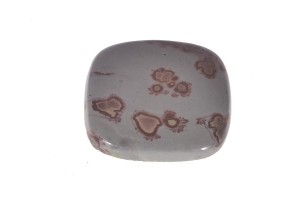 Jaspis Kwiatowy 31,5x28,7 11,5g 16.