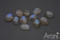kam K labradoryt owal  7x9